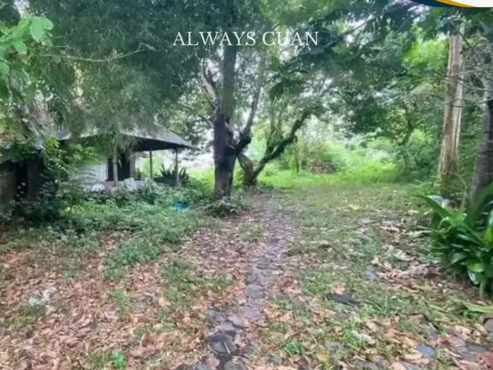 Tanah dijual area pererengan dekat akses ketempat wisata