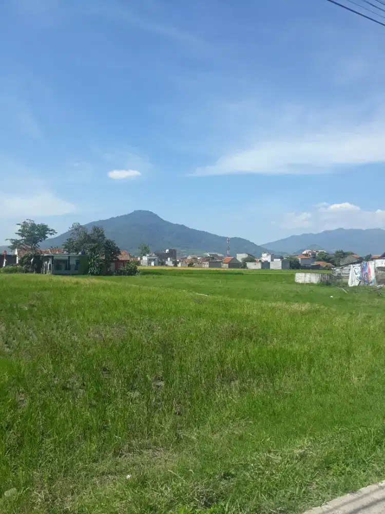 Loker untuk chef/koki