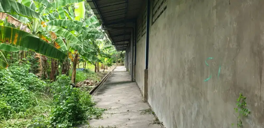 Disewakan gudang margomulyo