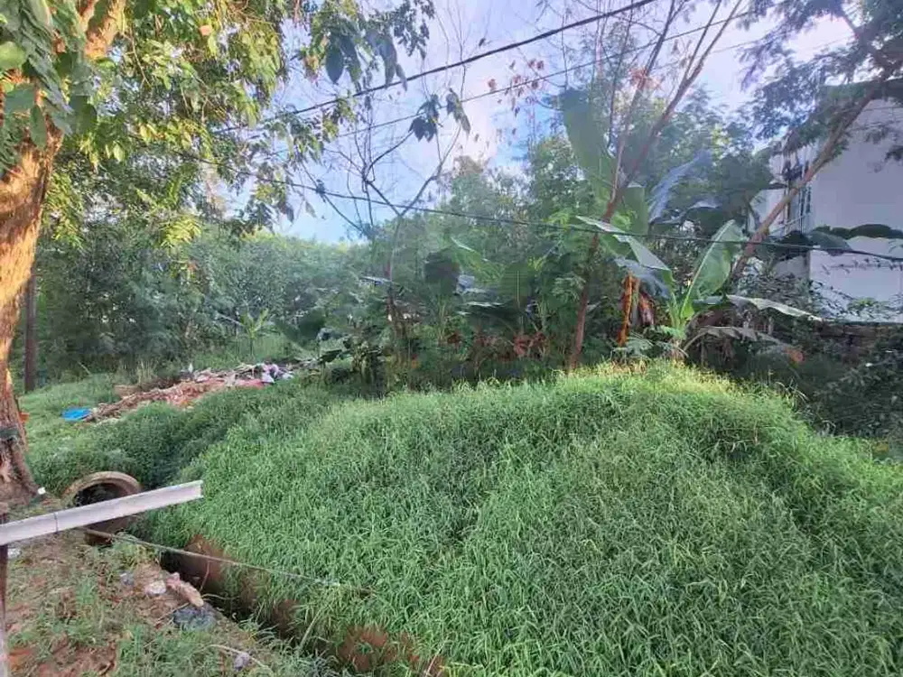 Tanah kavling  Murah Palm Spring di bawah harga pasaran Dekat Djuwita batam