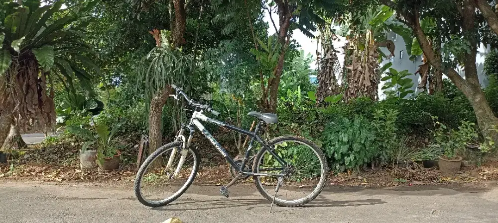 Sepeda Polygon Monarch 2.0