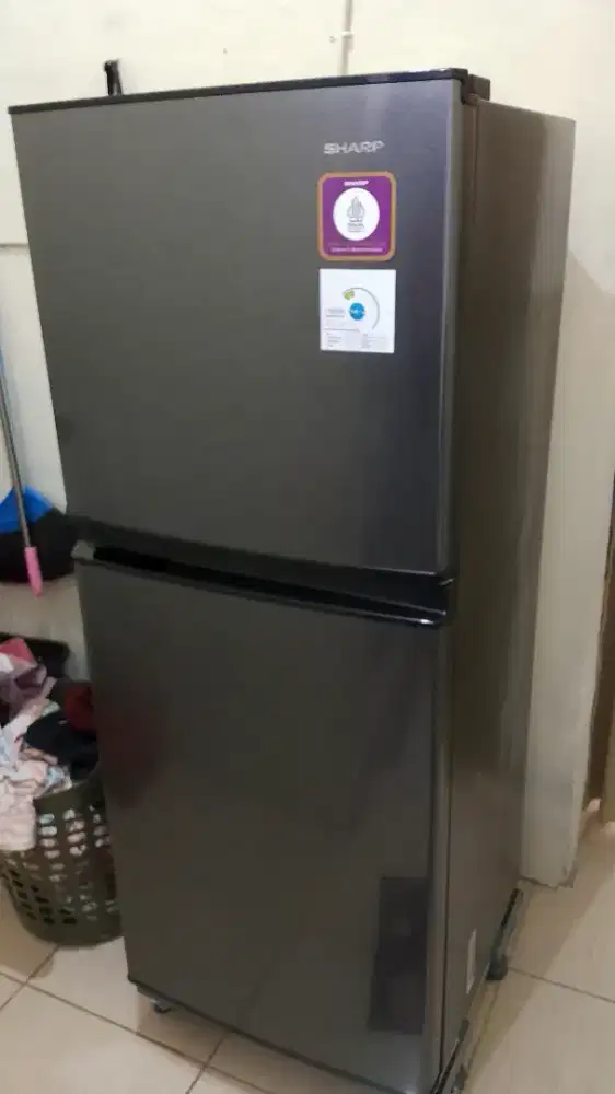 Kulkas sharp 2 pintu