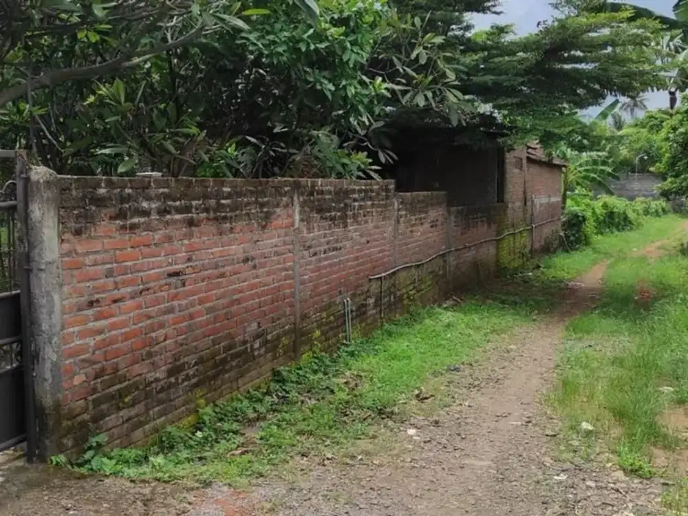 DIJUAL TANAH DAN BANGUNAN LUAS 1.835 M² DI KABUPATEN BULELENG