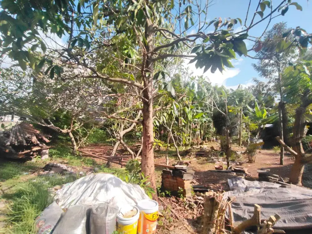 DIJUAL CEPAT! Tanah Kavling cocok untuk Komersil/Kost-kostan, Area Ramai Kuliner Dekat Teras Kota