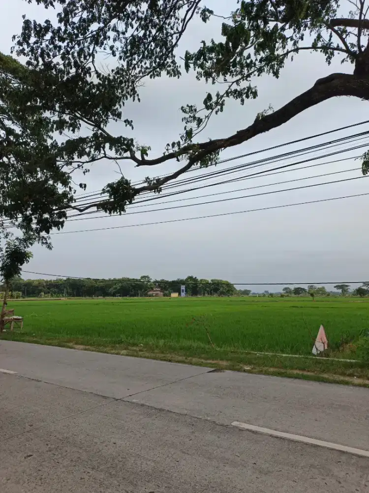 Tanah Tepi jalan Raya Sukoharjo - Tawangsari (Selatan Sritex lk 800 m)