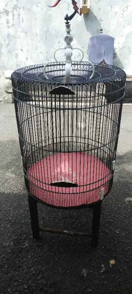 Kandang murai no 2