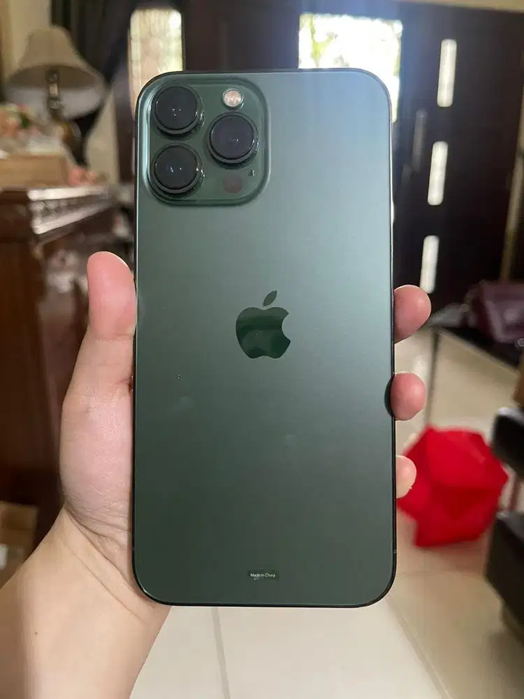 IPhone 13 Pro Max mulus segerr