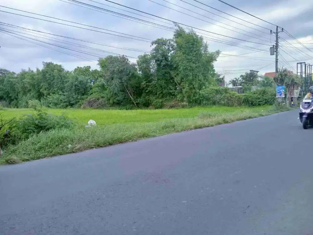 DIJUAL TANAH DIJALAN MANGESTI RAYA GENTAN