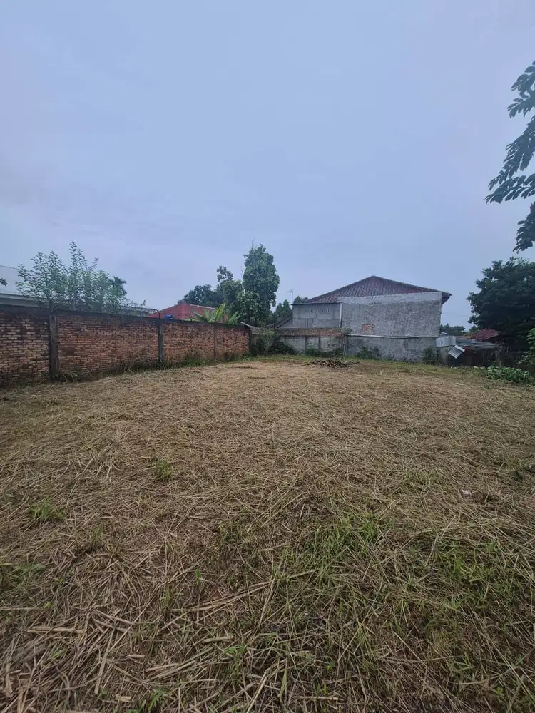 Jual Tanah Kebun Handil Jelutung Kota Jambi