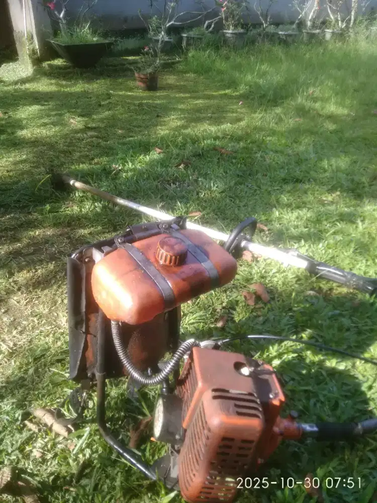 Tukang potong rumput nego