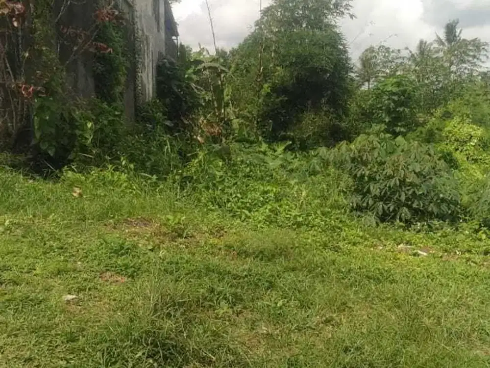 Dijual Tanah Kavling Luas 185 m2 SHM Tabanan Bali