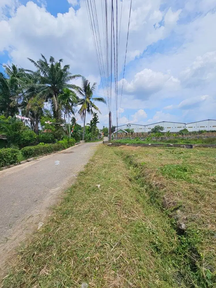 Jual Tanah Murah Pall Merah Uka Kota Jambi