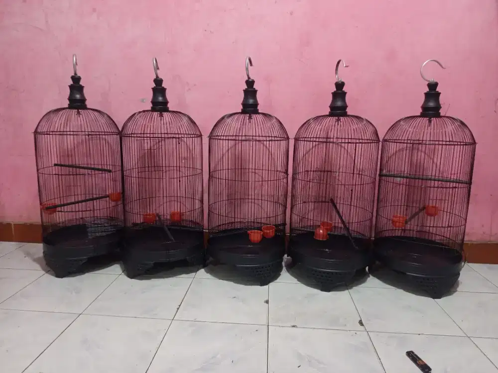 Kandang Lovebird Kapsul