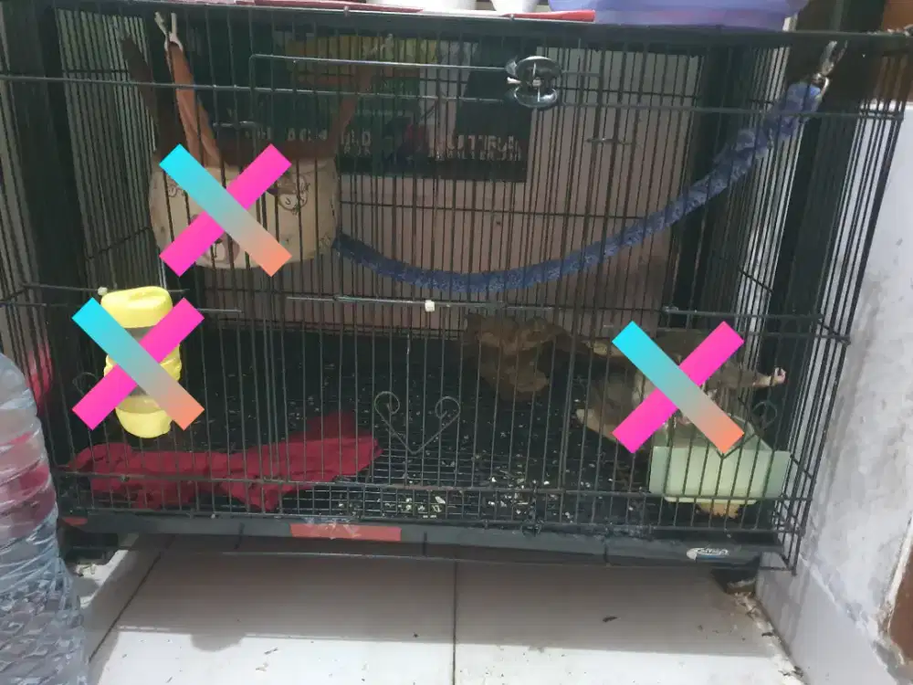 Jual kandang panjang 60cm