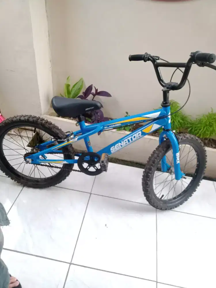 Sepeda bmx senator slammer 18 inch