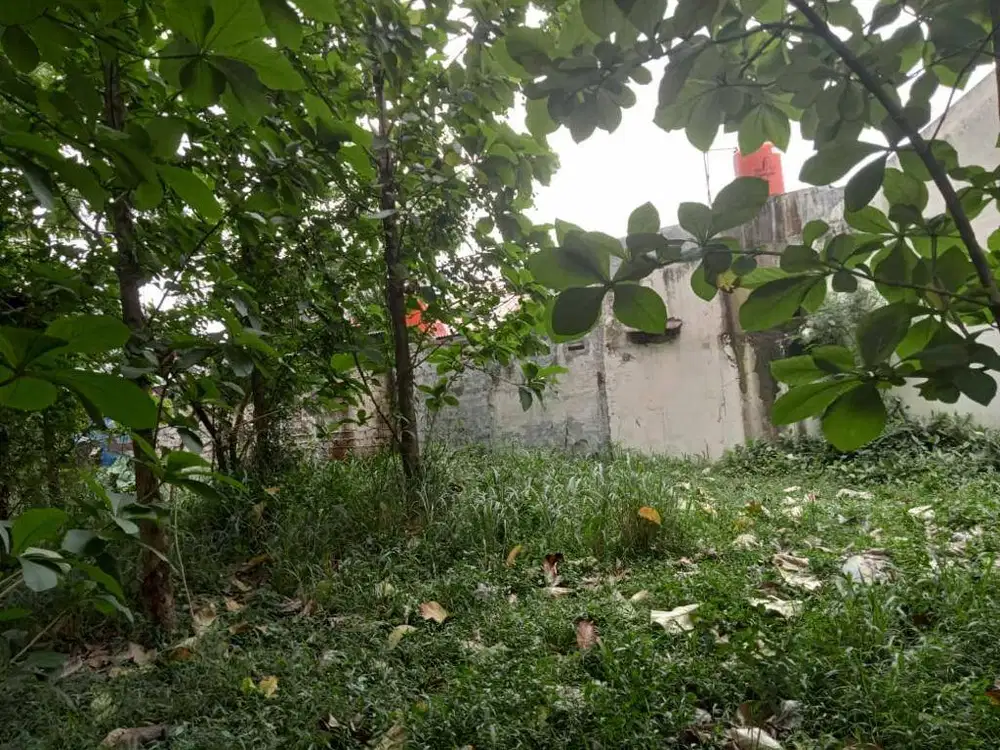 Dijual Tanah Jl Roda Pembangunan Gg Nangka Cibinong Bogor