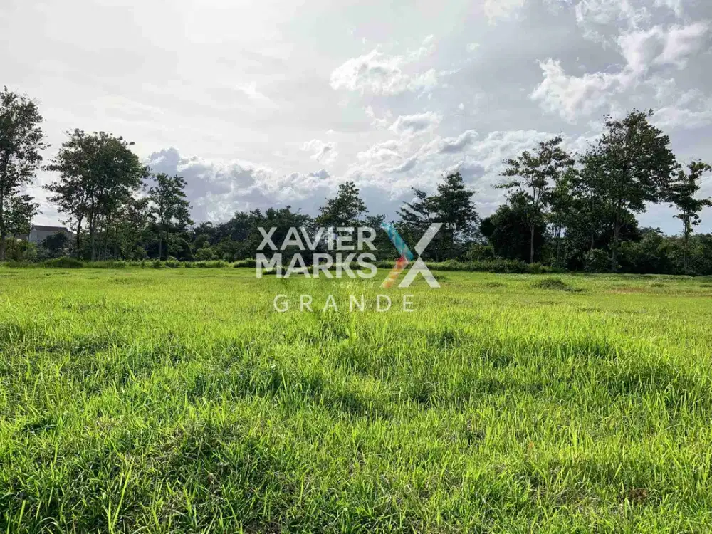 Dijual Tanah Luas di Telaga Golf Araya Malang