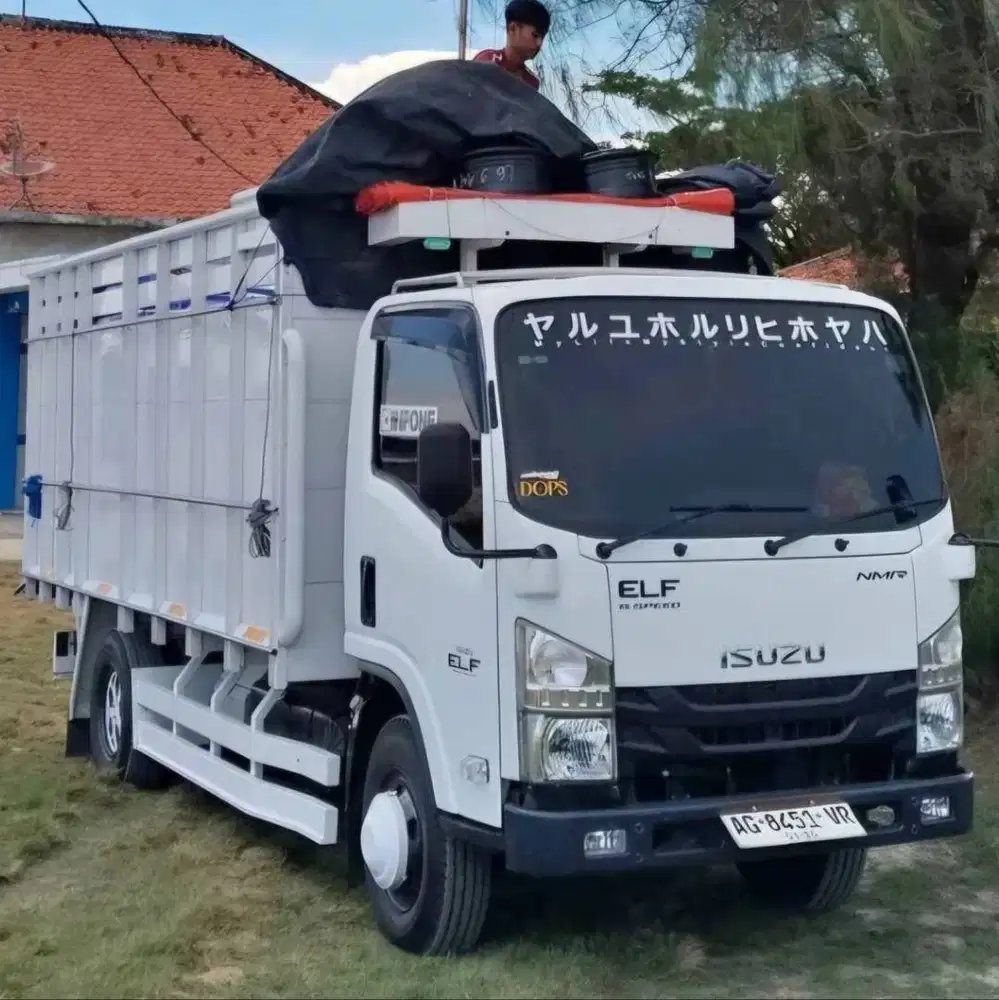 Isuzu Nmr 71t Hd bak kayu 2022