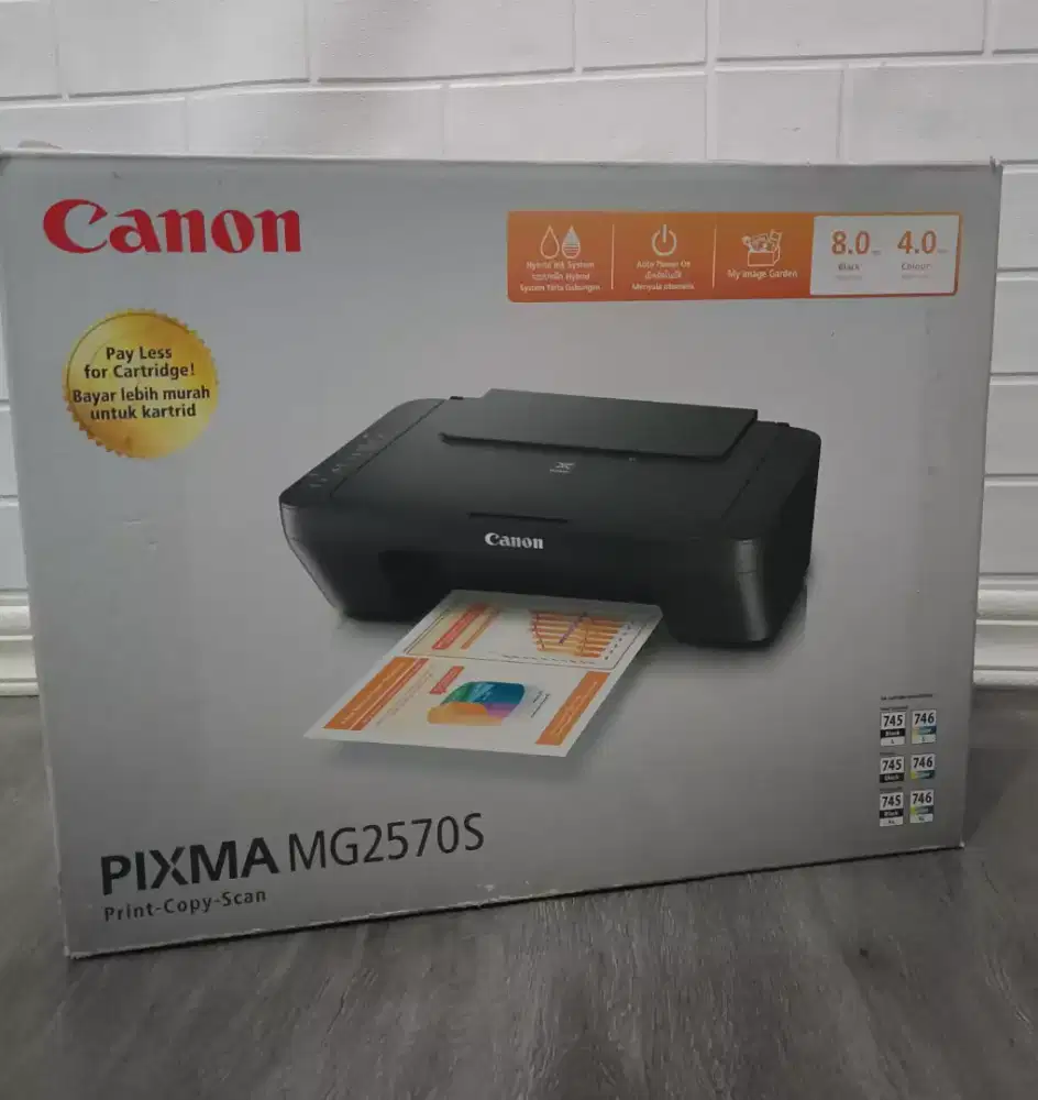 Printer Canon MG2570s (print, scan, copy)