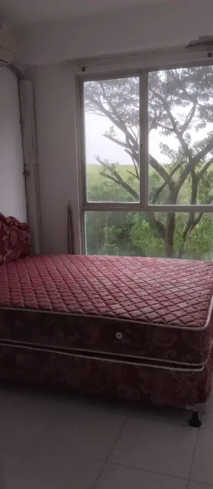 Springbed set american kondisi 80 %