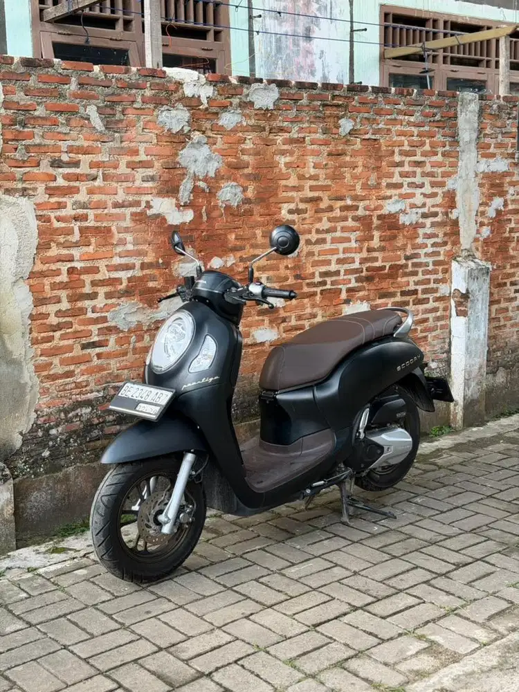 Scoopy 2024 gress Like new