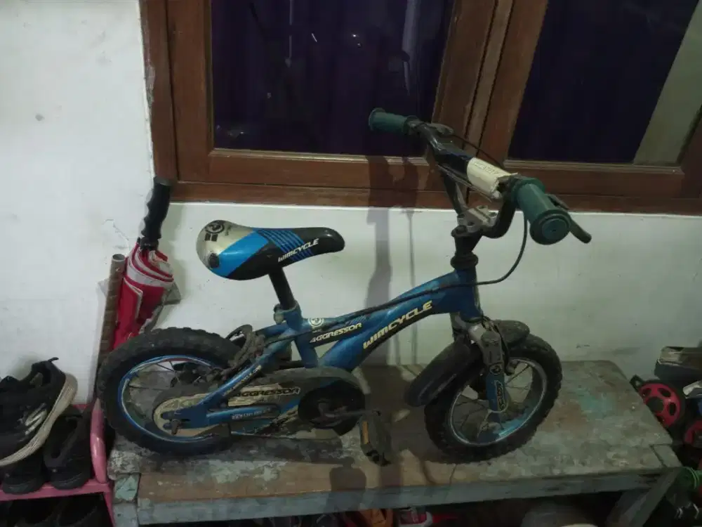 Jual cepet sepeda anak kecil