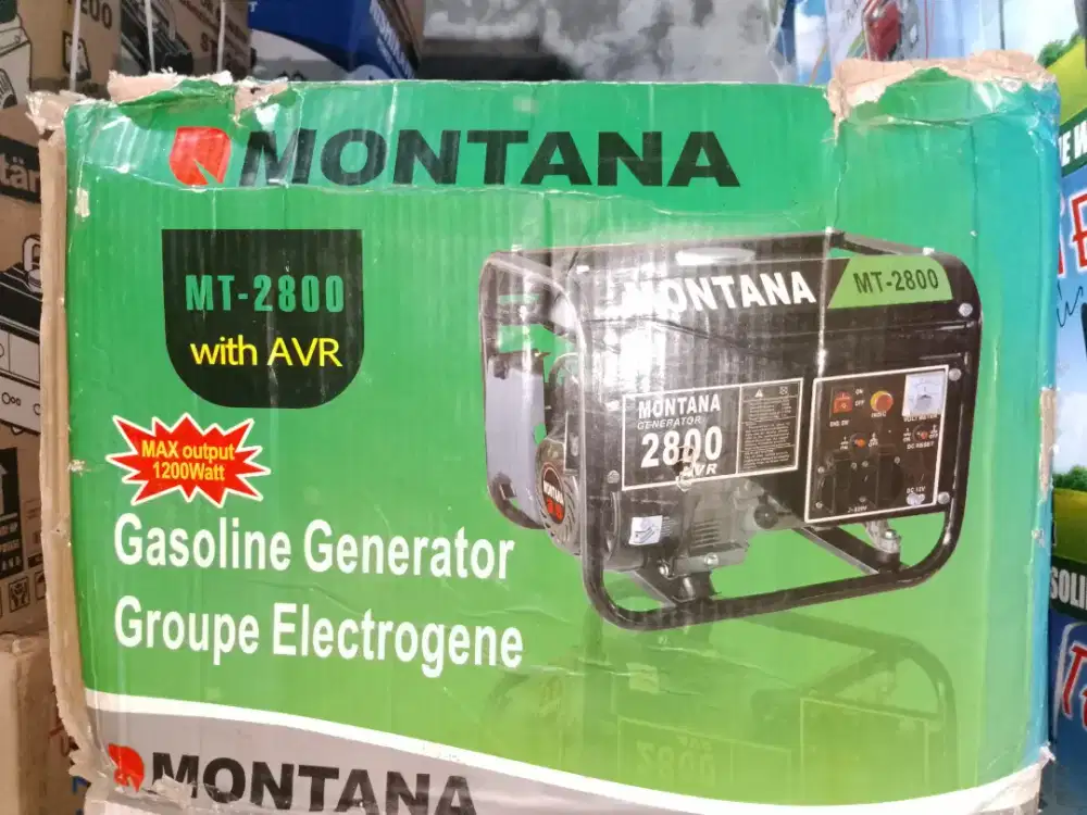 Genset 1000watt montana