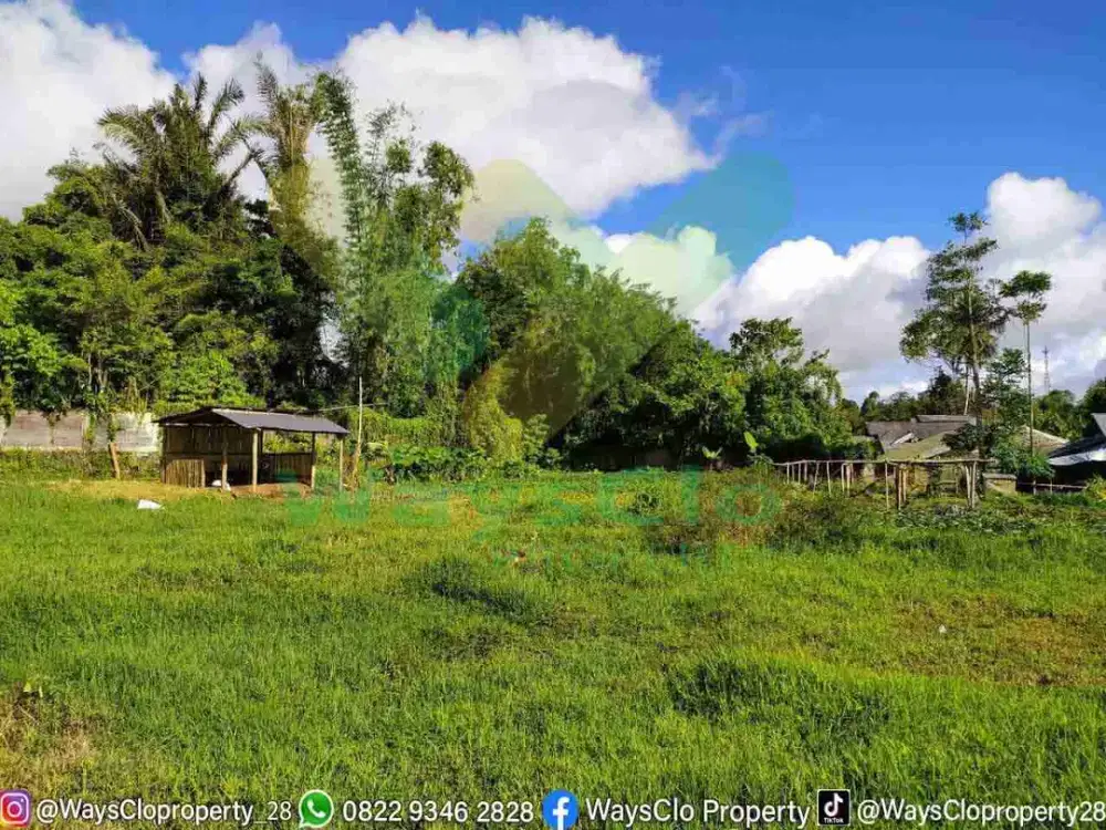 DIJUAL CEPAT TANAH CANTIK DAN MENARIK DAERAH TOMOHON, HARGA SANGAT MURAH