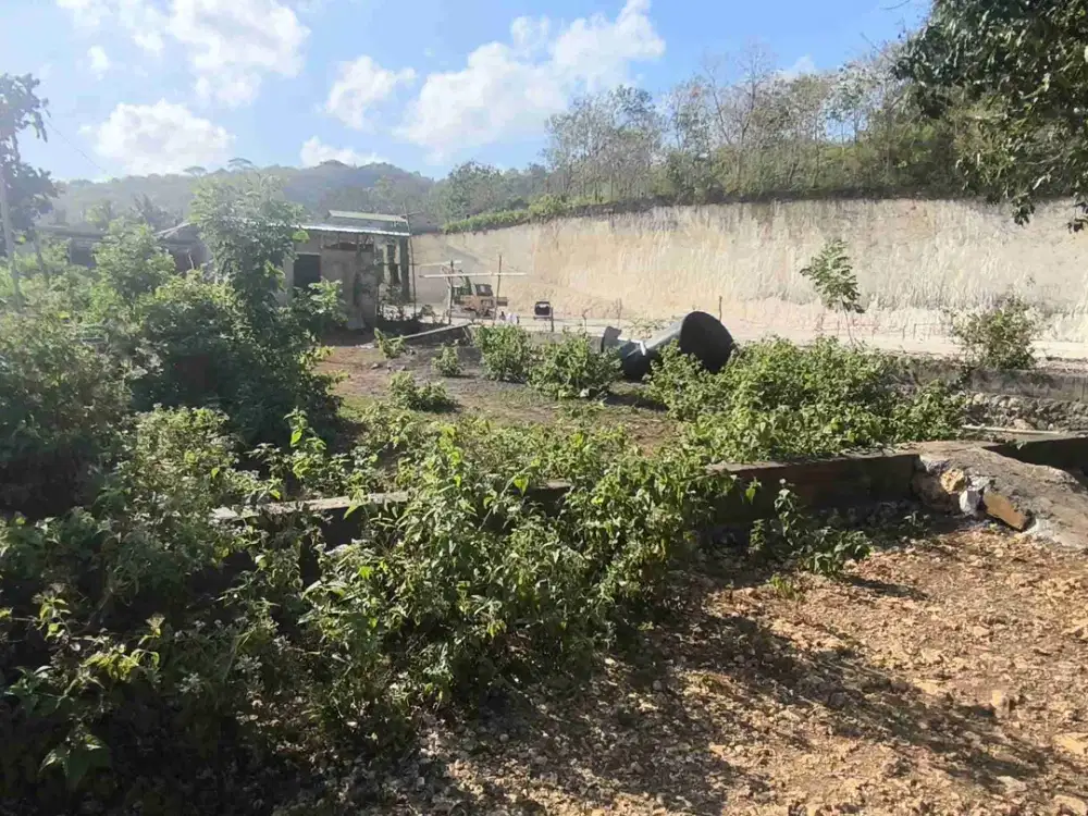 Jual Tanah Harga Global Luas 300m² Jl Pecatu Uluwatu area Investasi Strategis