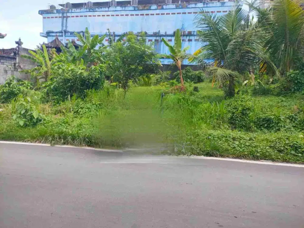 DIJUAL TANAH LOKASI JALAN KARANG SARI CARGO UBUNG