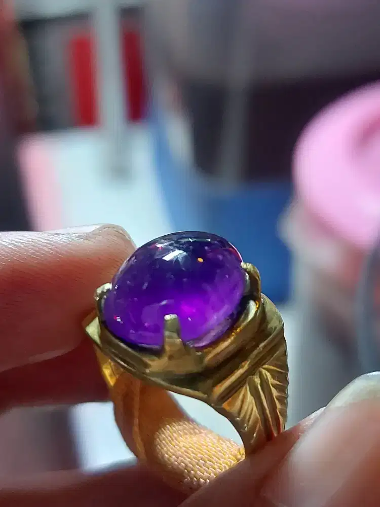 Kecubung asihan Kalimantan asli