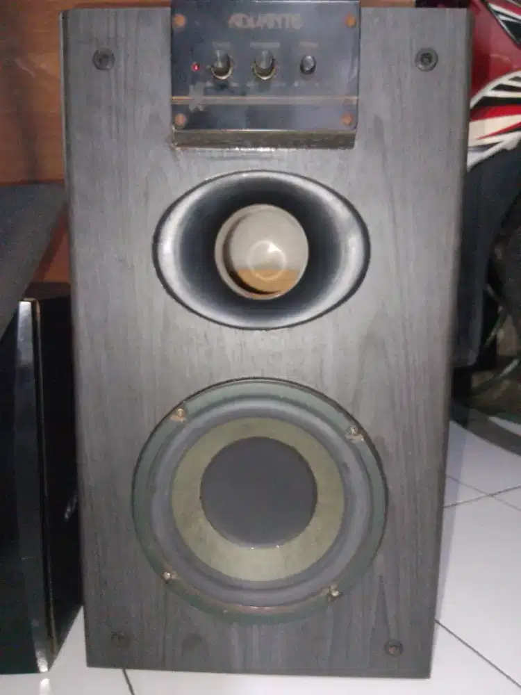 Advante Big Box aktif Subwoofer 8 in, input output speaker, bass level