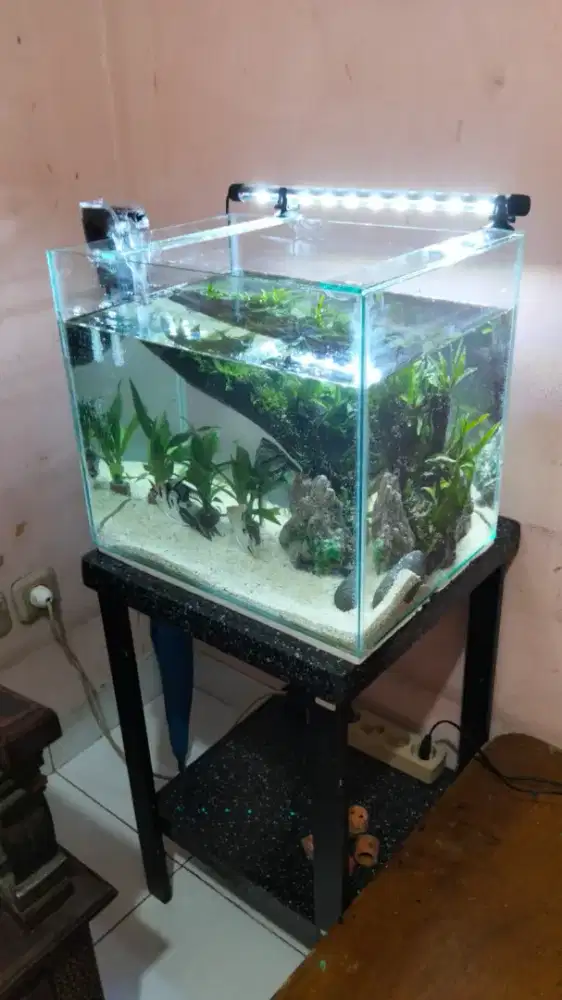 Aquascep fulset tinggal pajang