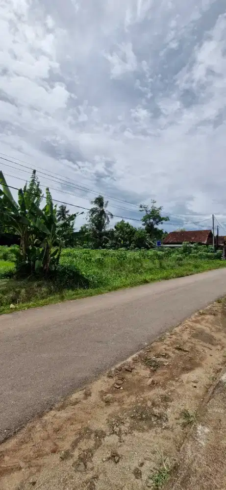 Dijual pekarangan luas, lokasi tinggi, siap bangun komplek / rumah