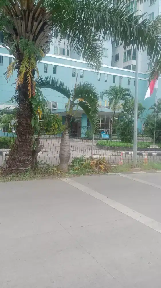 Saya mencari kerja sebagai driver pribadi