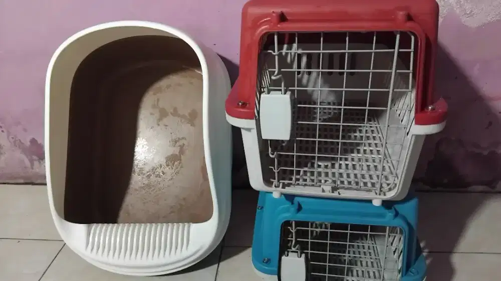 Box kucing kargo dan filter box kucing