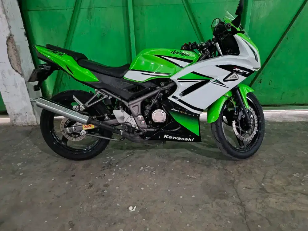 2013 Kawasaki Ninja RR