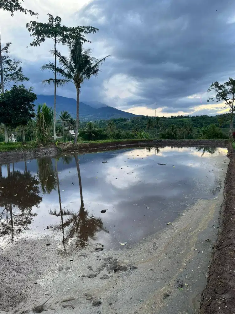 Sawah Ciparay 50 Tumbak
