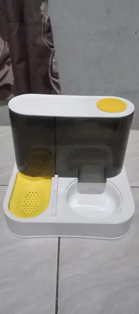 Tempat makan dan minum kucing