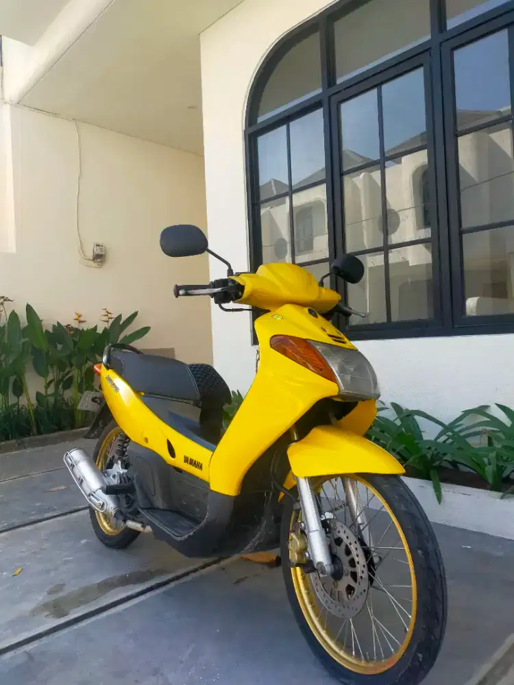 Nouvo lele asli kuning