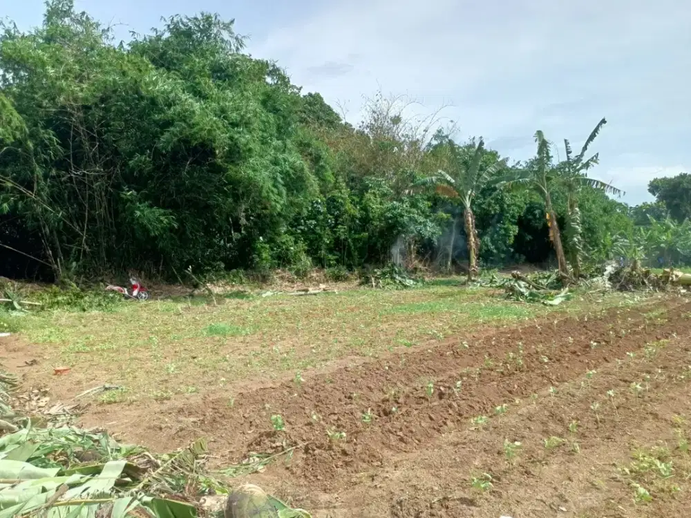 Kavling 15 Menit Gerbang Tol Pamulang Free SHM