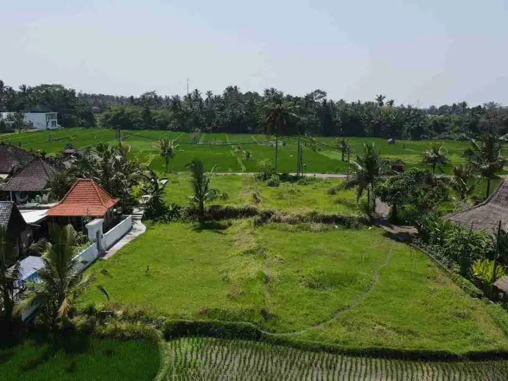 Termurah, Tanah Kavling di Ubud  Bali