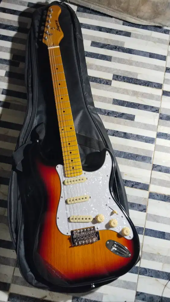 Gitar elektrik Stratocaster legacy eg100
