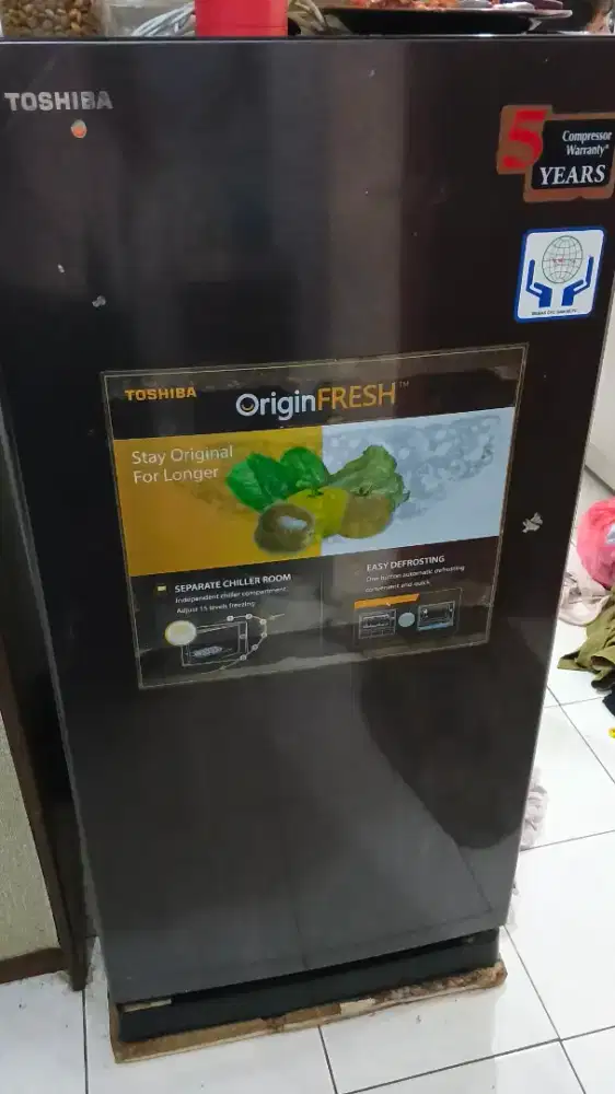 Kulkas Toshiba 1 pintu