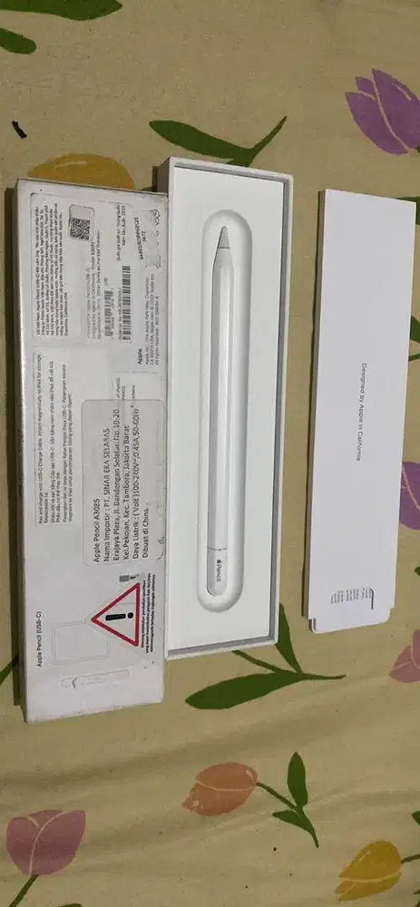 Apple Pencil USB C