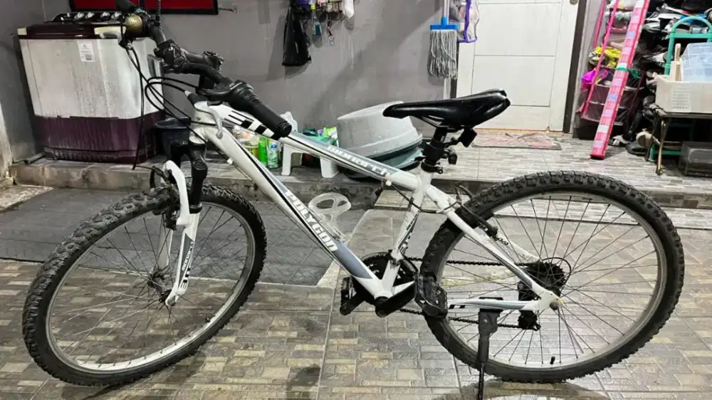 Sepeda Polygon Monarch 3.0