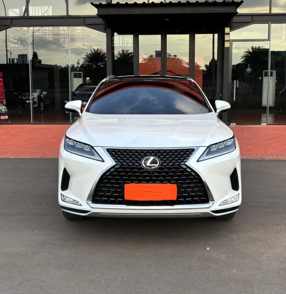 RX300 2021 Rx300 luxury