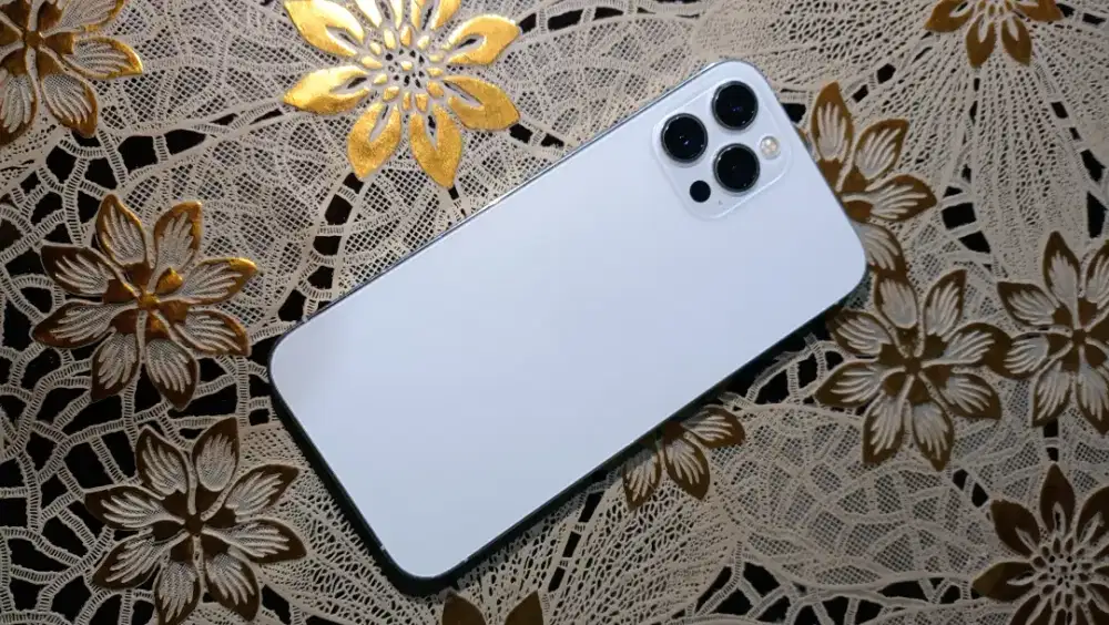 iPhone 12 pro max 256 gb inter all provider