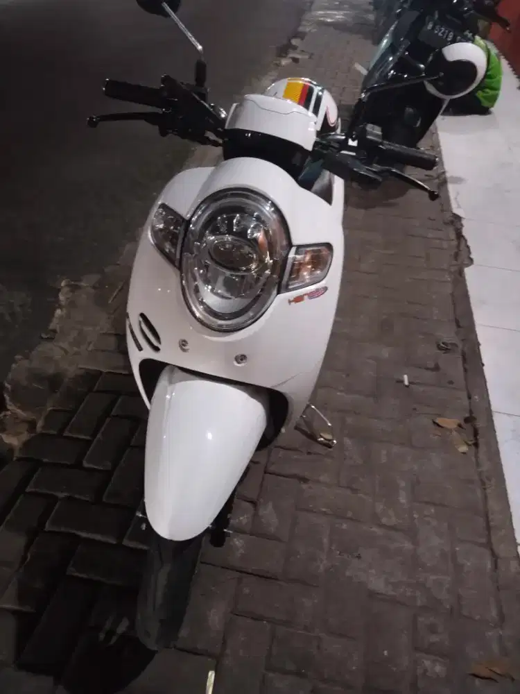 Honda Scoopy Stylish 2019 White