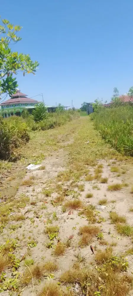 Jual Tanah Kavling Terakhir di Seberang Dutamall Palangkaraya